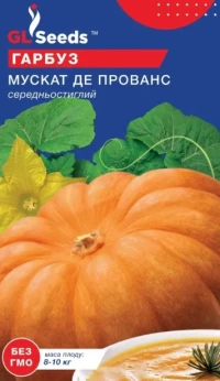 Насіння Гарбуза Мускат де Прованс, 0.5 г., ТМ GL Seeds