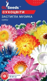 Квіткова суміш Застигла музика, 0.5 г, TM GL Seeds