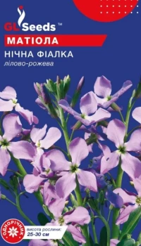 Насіння Матіола Нічна фіалка, 1 г, ТМ GL Seeds