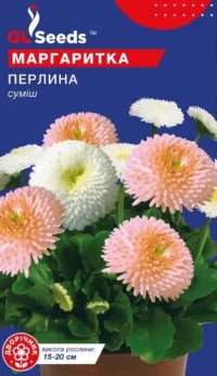 Насіння Маргаритка Перлина, 0.1 г, ТМ GL Seeds
