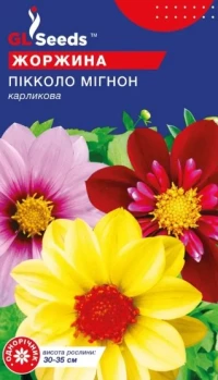 Насіння Жоржина Пікколо Мігнон, 0.2 г, ТМ GL Seeds