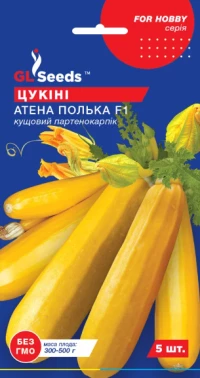 Насіння Кабачка цукіні Атена Полька F1, 5 шт., ТМ GL Seeds