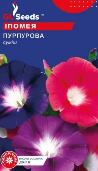 Насіння Іпомея Пурпурова суміш, 1 г, ТМ GL Seeds