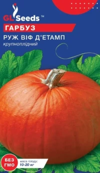 Насіння Гарбуза Руж віф д'Етамп, 5 шт., ТМ GL Seeds