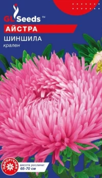 Насіння Айстра Шиншила, 0.25 г, ТМ GL Seeds