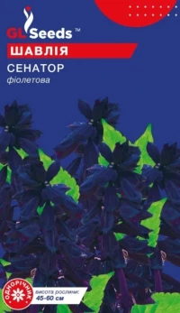 Насіння Сальвія Сенатор, 0.2 г, TM GL Seeds