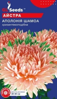 Семена Астра Аполлония Шамоа, 0.25 г, ТМ GL Seeds