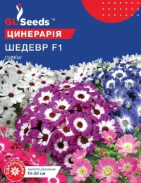Насіння Цинерарія квітуча Шедевр F1 суміш, 0,01 г, ТМ GL Seeds