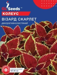Семена Колеус Визард Скарлетт, 10 шт, TM GL Seeds