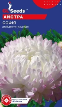 Насіння Астра Софія, 0.3 г, ТМ GL Seeds