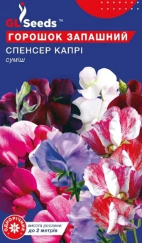 Насіння Духмяний горошок Спенсер Капрі, 1 г, ТМ GL Seeds