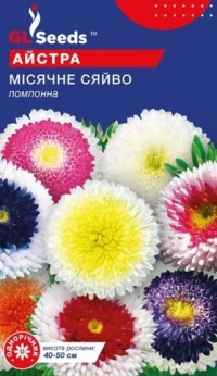 Насіння Астра Місячне сяйво, 0.25 г, ТМ GL Seeds