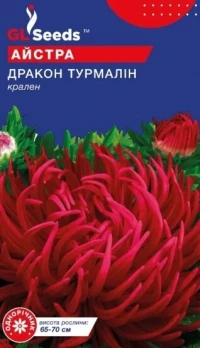 Насіння Айстри Дракон Турмалин, 0.3 г, ТМ GL Seeds