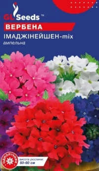 Насіння Вербена Імаджінейшен Мікс, 0.1 г, ТМ GL Seeds