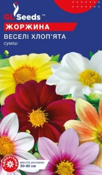 Насіння Жоржина Веселі Хлопці, 0.5 г, ТМ GL Seeds
