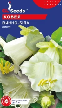 Насіння Кобея Винно-біла, 4 шт., ТМ GL Seeds
