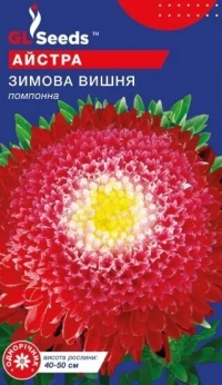Насіння Айстра Зимова вишня, 0.3 г, ТМ GL Seeds