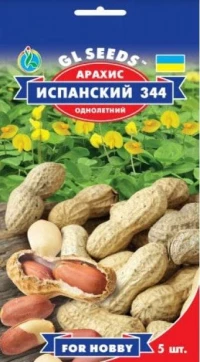 Семена Арахиса Испанский 344, 5 шт., ТМ GL Seeds