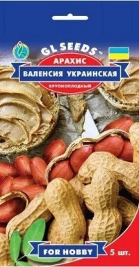 Насіння Арахісу Валенсія Українська, 5 шт., ТМ GL Seeds