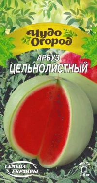 Насіння Кавуна Цільнолистий, 1 г, ТМ Семена Украины