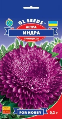 Насіння Айстри Індра пурпурна, 0.3 г, ТМ GL Seeds