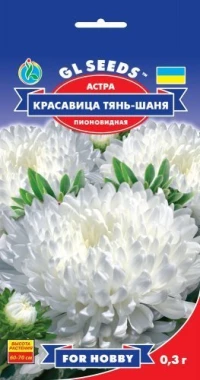 Насіння Айстри Красуня Тань-Шаня, 0.3 г, ТМ GL Seeds