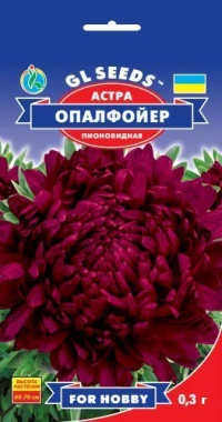 Семена Астра Опалфойер, 0.3 г, ТМ GL Seeds