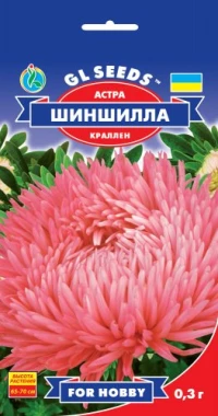 Насіння Айстра Шиншила, 0.25 г, ТМ GL Seeds