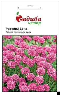 Насіння Армерія приморська Рожевий бриз, 0,1 г, ТМ Садиба Центр