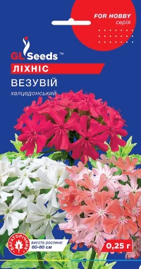 Семена Лихнис Везувий, 0.25 г, TM GL Seeds