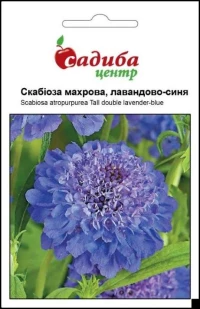 Семена Скабиоза махровая, лавандово-синяя, 0,2 г, ТМ Садиба Центр