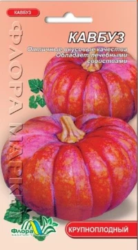 Насіння Гарбуза Кавбуз, 2 г, ТМ ФлораМаркет