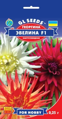 Насіння Жоржина Евеліна, 0.25 г, ТМ GL Seeds