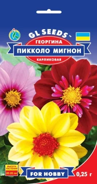 Семена Георгина Пикколо Мигнон, 0.2 г, ТМ GL Seeds