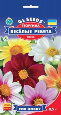 Насіння Жоржина Веселі Хлопці, 0.5 г, ТМ GL Seeds