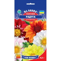 Насіння Георгіна Веселка, 0.3 г, ТМ GL Seeds, т/п до 10.2021