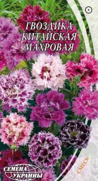 Насіння Гвоздика китайська махрова, 0,2 г, ТМ Семена Украины