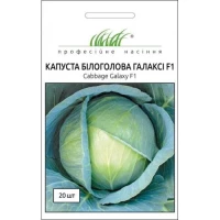 Насіння Капусти Галаксі F1, 20шт, Nong Woo Bio, Корея, ТМ Професійне насіння