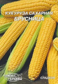 Насіння Кукурудзи Брусниця, 20 г, ТМ Семена Украины