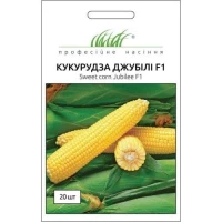 Семена Кукурузы Джубили F1, 20 шт, Syngenta, Голландия, ТМ Професійне насіння