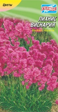Насіння Ліхніс Віскарія, 0,05 г, ТМ Гелиос