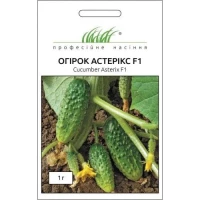 Насіння Огірка Астерікс F1, 20 шт., Bejo, Голландія, ТМ Професійне насіння