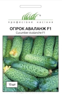 Насіння Огірка Аваланж F1, 10 шт, Nong Woo Bio, Південна Корея, ТМ Професійне насіння