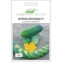 Семена Огурца Криспина F1, 10 шт, Nunhems, Голландия, ТМ Професійне насіння