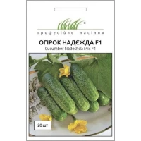 Насіння Огірка Надія F1, 20 шт, Seminis, Голландія, ТМ Професійне насіння