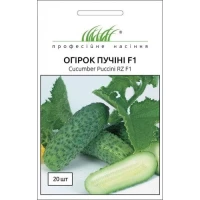 Насіння Огірка Пучіні F1, 10 шт, Rijk Zwaan, Голландія, ТМ Професійне насіння