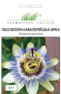 Насіння Пассифлора Кавалерійська зірка, 0.1 г, Hem, Голландія, Професійне насіння