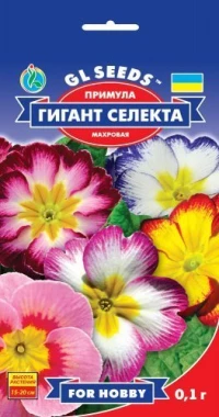 Семена Примула Гигант Селекта, 0.1 г, ТМ GL Seeds