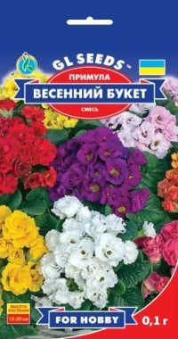 Насіння Примула Весняний букет, 0.1 г, ТМ GL Seeds