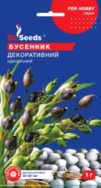Насіння Бусенник Декоративний, 1 г, ТМ GL Seeds